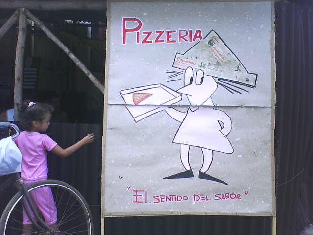 [DSC00304.JPG]
