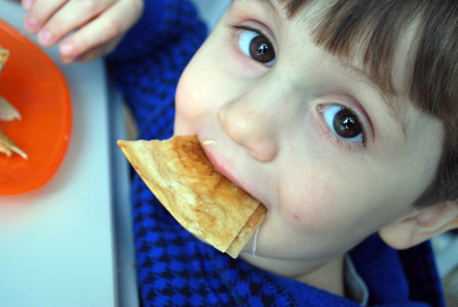 [Eating+PB+and+Mallow+Quesadilla+2.jpg]