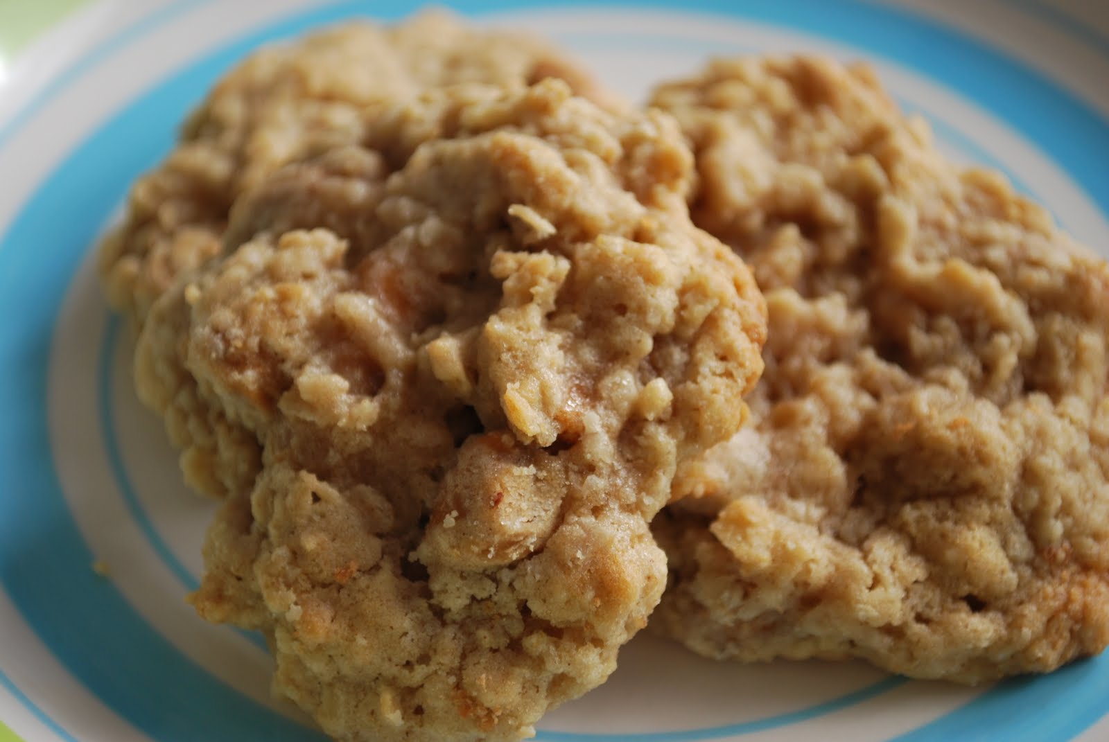 [Oatmeal+Scotties+5.JPG]