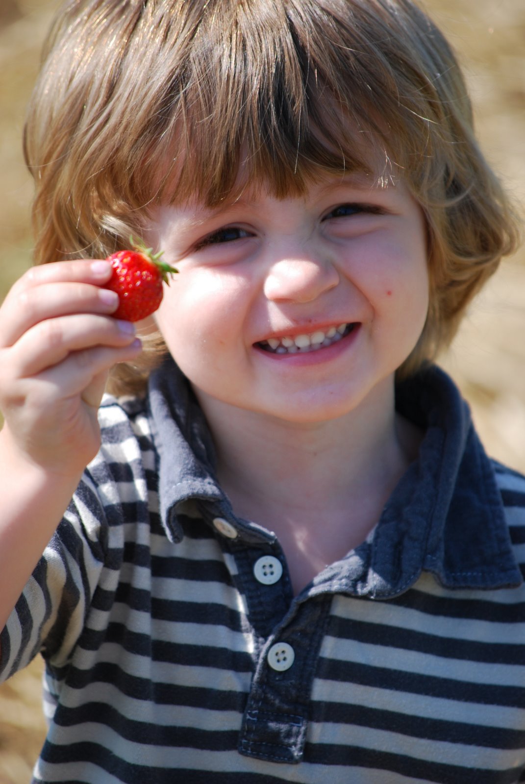 [Strawberry+Picking+2009.JPG]