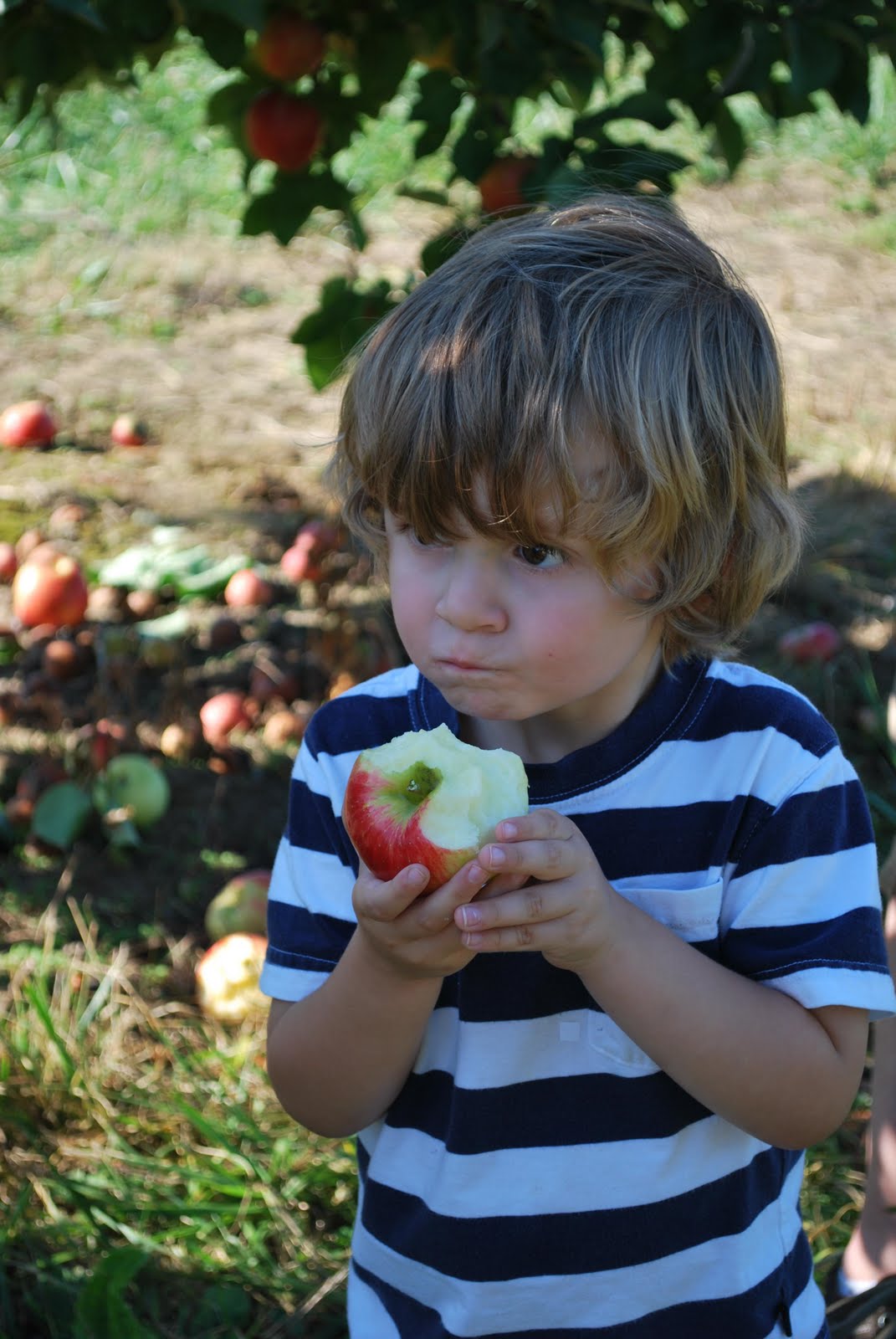 [Apple+Picking+2009+Jack+5.JPG]