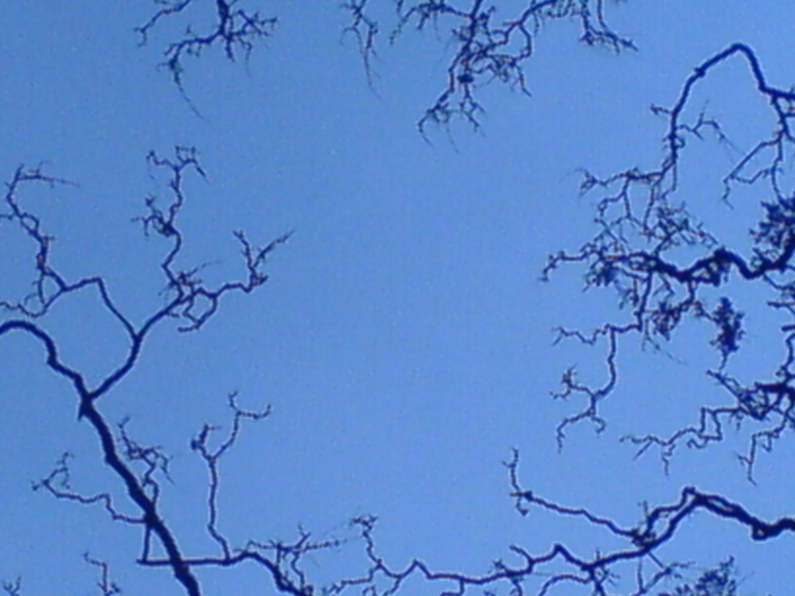 [DSC02288.JPG]