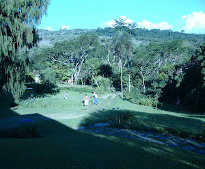 Vista da Agrofloresta