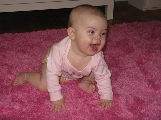 ... for the diaper pail. Here's some pictures of Emerson and Ruckus enjoying ... ... for the diaper pail. Here's some pictures of Emerson and Ruckus enjoying ...