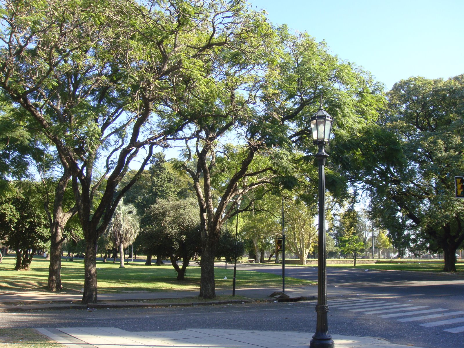 [DSC03927.JPG]