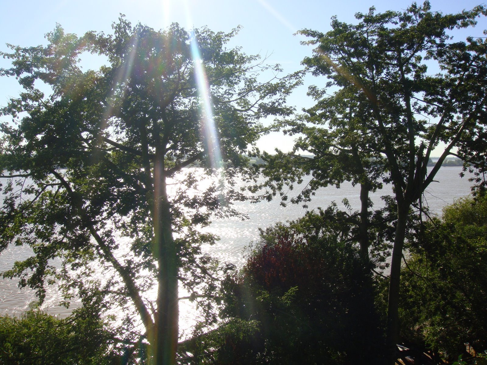 [DSC03915.JPG]