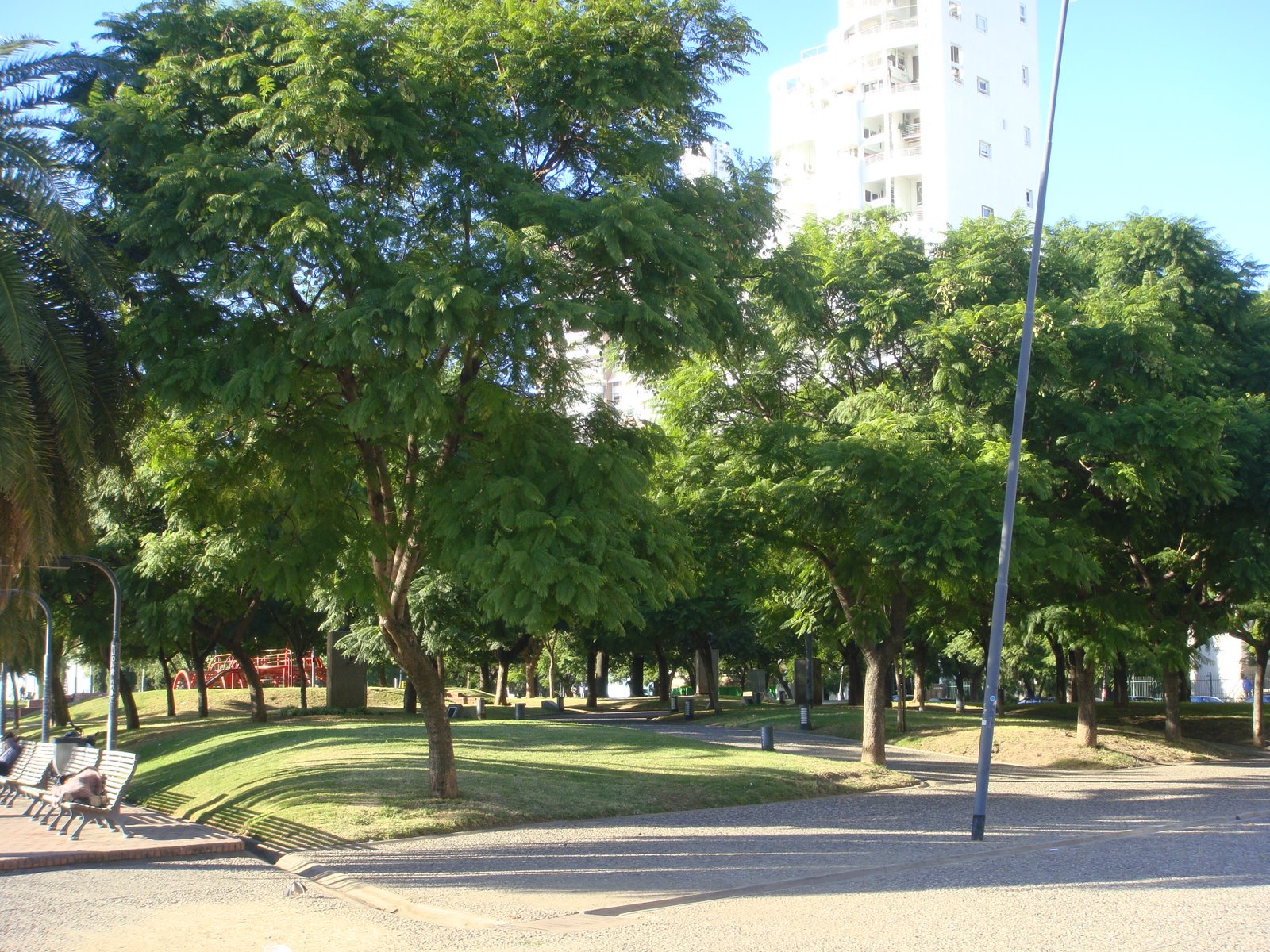 [DSC03888.JPG]