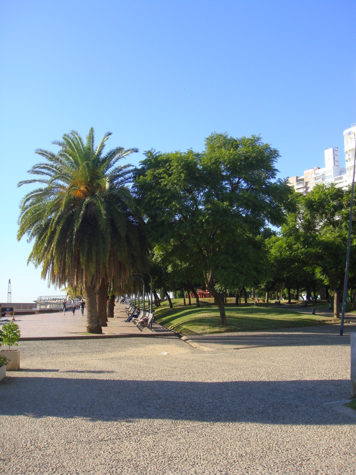 [DSC03887.JPG]