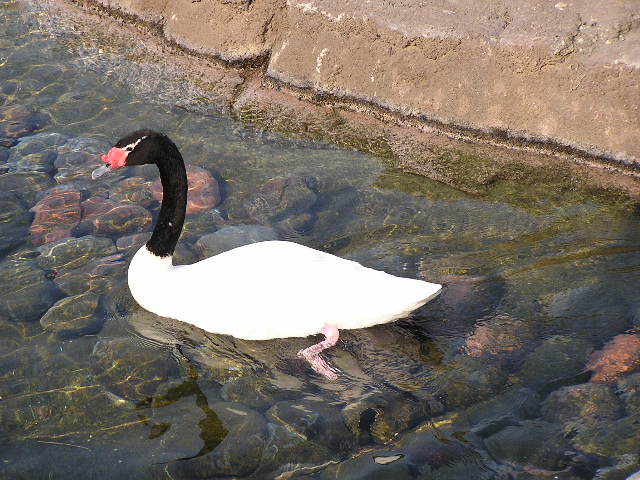 [P1010055.JPG]