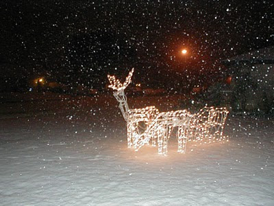 White Christmas In Victoria, TX 2004