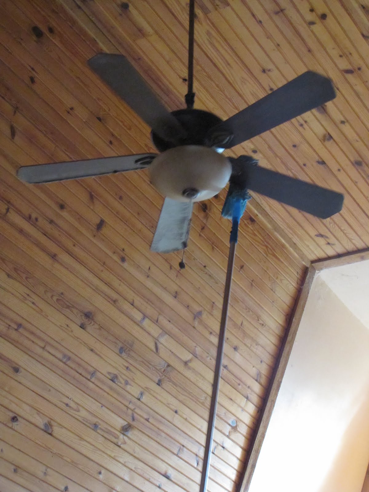 Life In The A Frame I M A Fan Of The Fan Cleaning Tool