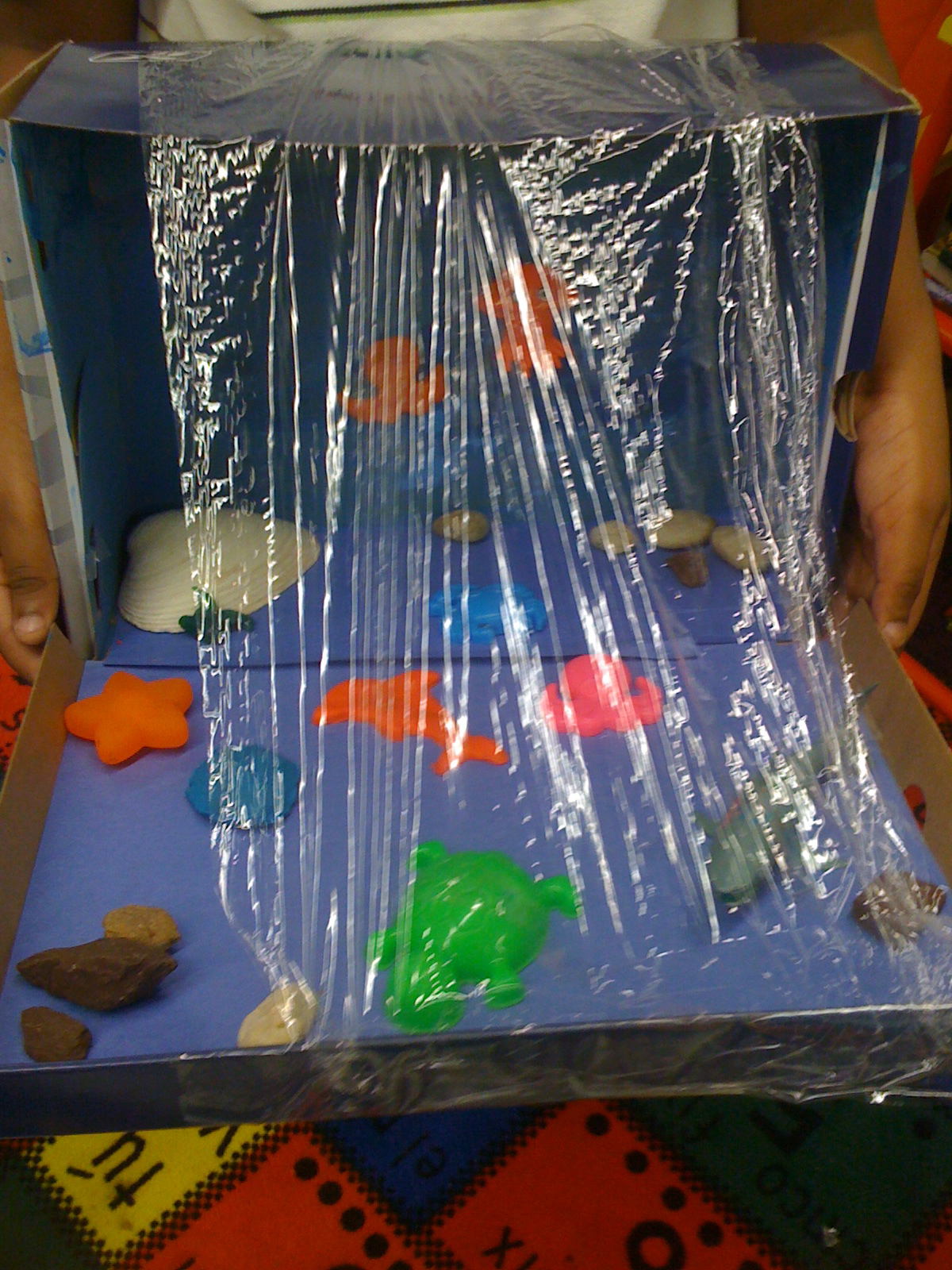 Mrs. Cardoso's Class Our Biome Projects