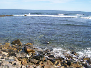 A Mother S Earth Wordless Wednesday Cliff Walk Newport Ri