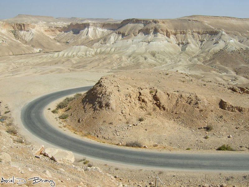 israeli desert
