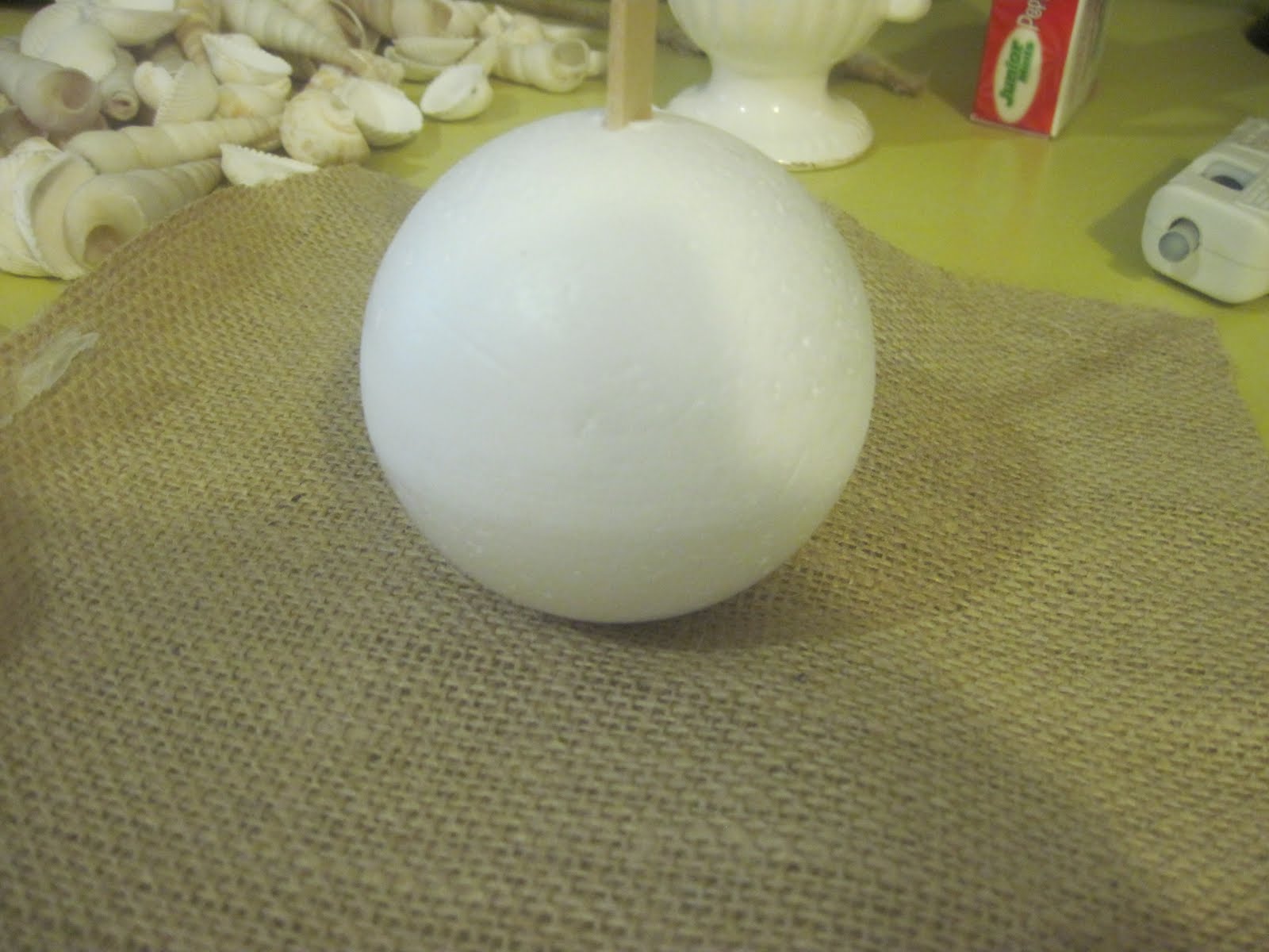 [Shell+Topiary+Tutorial+2.JPG]