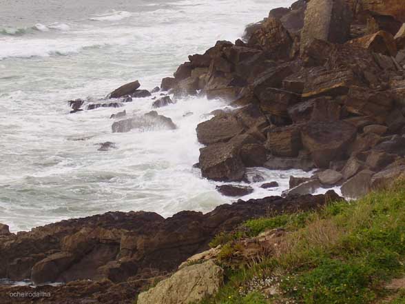 [PC290075.B.jpg]
