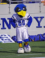 Air Force falcon mascot in football jersey.