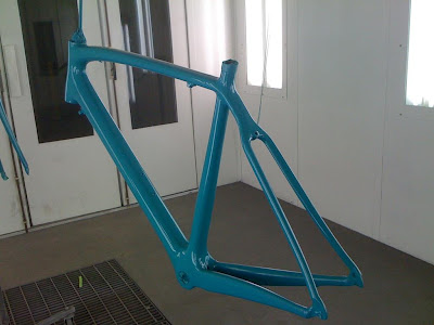 Painted Road Bike