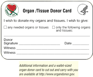 Organ Donor Card Template new 1 organ donors Organ Donor Card Template new 1 organ donors