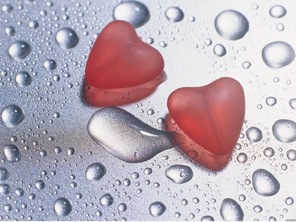 DE CANCIONES QUIEREME COMO TE QUIERO YO de canciones quiereme como te quiero yo: