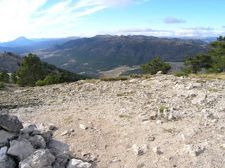 Taller Naturaleza UP/ANSE: noviembre 2009