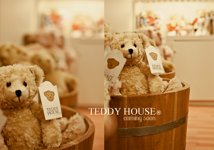 teddy house central park
