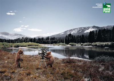 Astonishing Animal Advertisements Creating Awareness animal q Astonishing Animal Advertisements Creating Awareness
