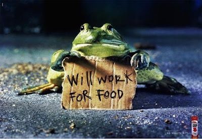 Astonishing Animal Advertisements Creating Awareness sbp00000 Astonishing Animal Advertisements Creating Awareness