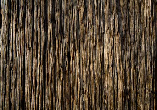 High Quality Free Wood texture download stock photos