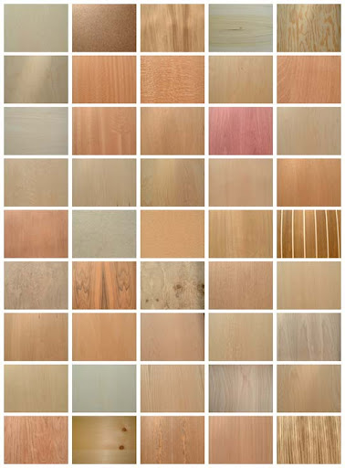 High Quality Free Wood texture download stock photos