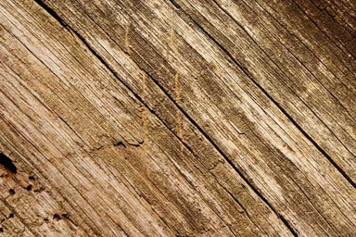 High Quality Free Wood texture download stock photos