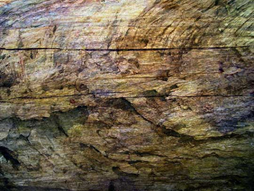 High Quality Free Wood texture download stock photos