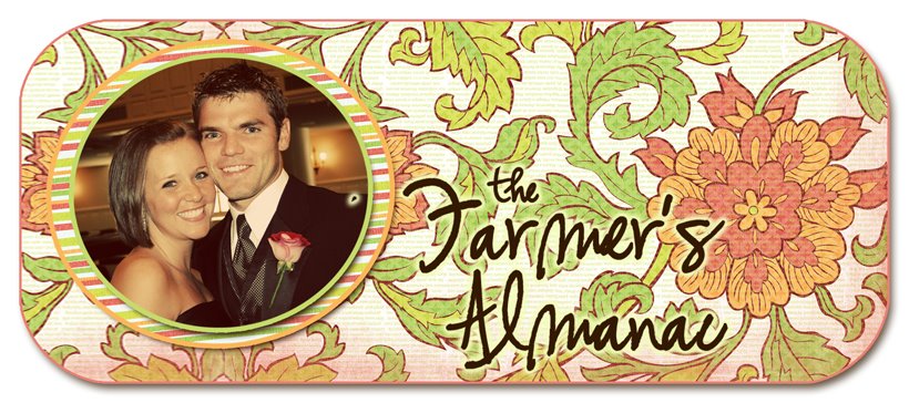 The Farmer\
