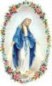 Our Lady Adourned With Roses Virgin Mary