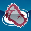colorado avalanche avatar