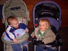 Jackson and Jake at the Zoo