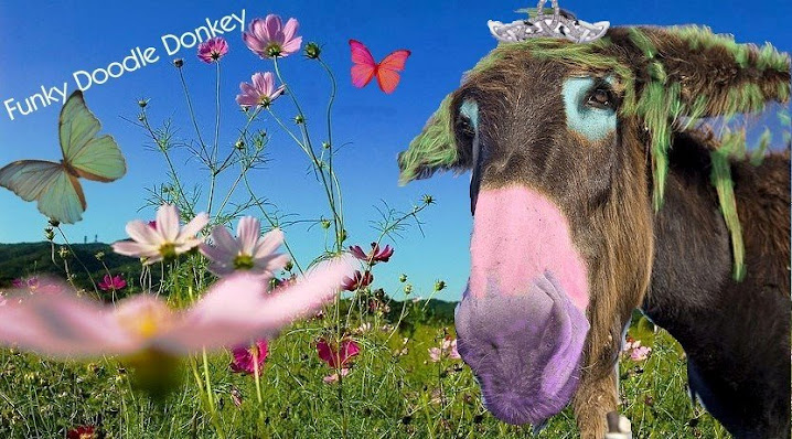 Funky+Doodle+Donkey.jpg