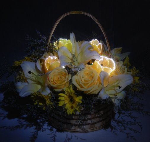[DSC_1269.JPG]