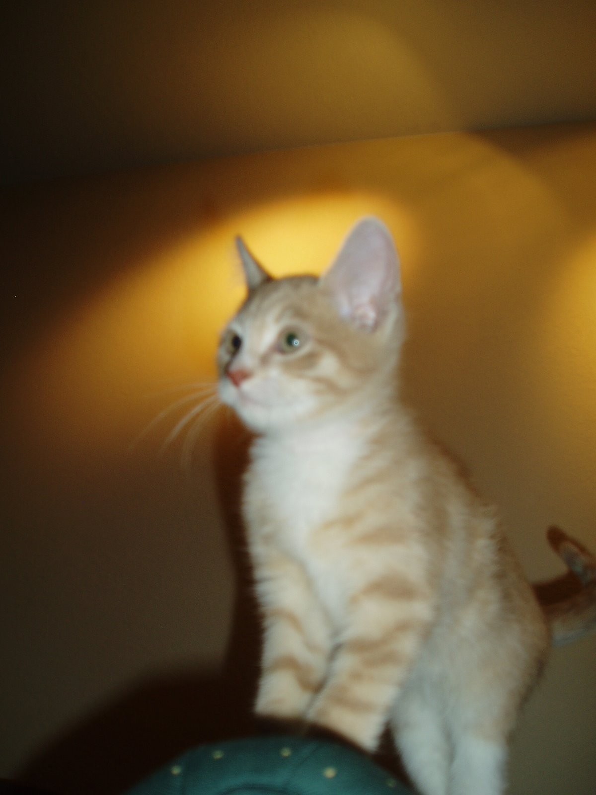 [P1010009.JPG]