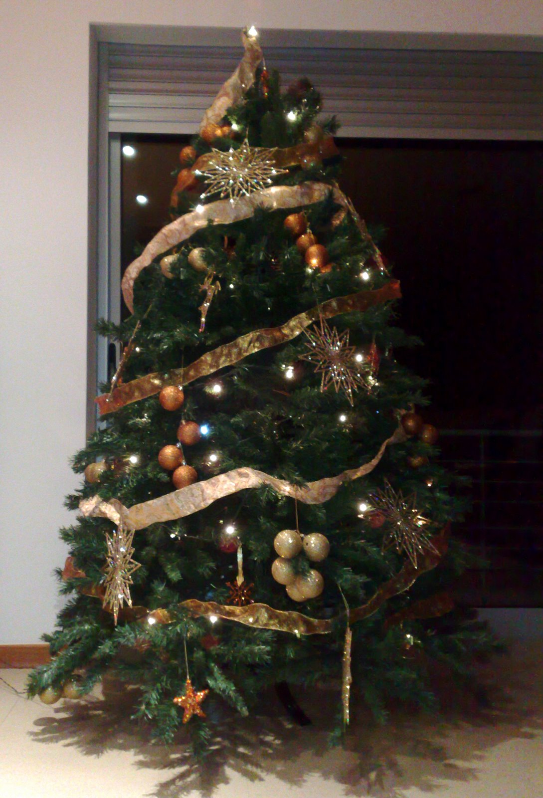 [02122008060.jpg]