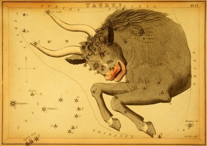 [Taurus.JPG]