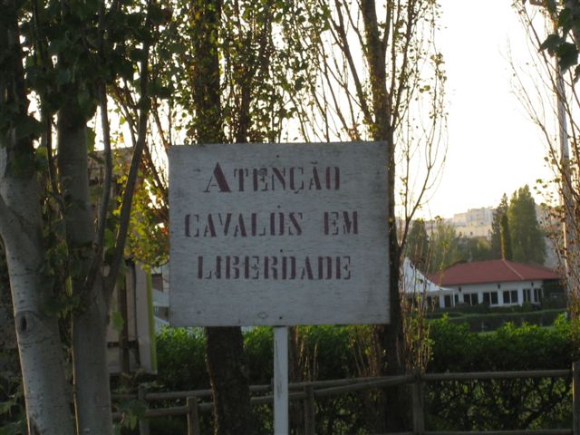 [IMG_6126.JPG]