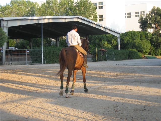 [IMG_6116.JPG]
