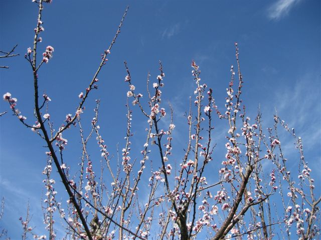 [IMG_7576.JPG]