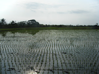Platoon was filmed in the