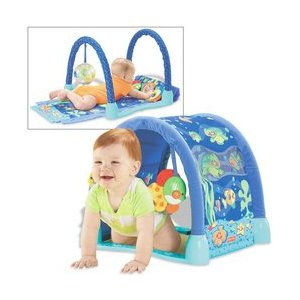 fisher price ocean wonders kick and crawl gym