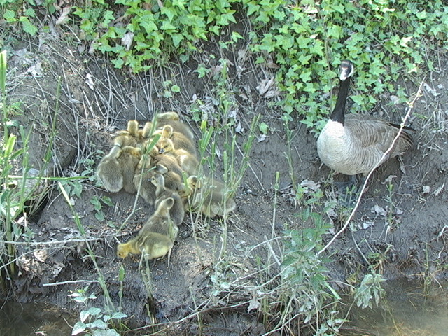 [DSC01746.JPG]