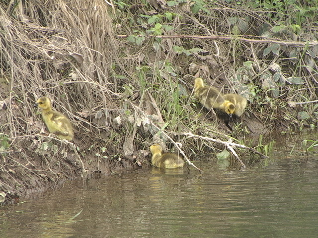 [DSC01489.JPG]