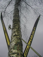 Mountain-skier