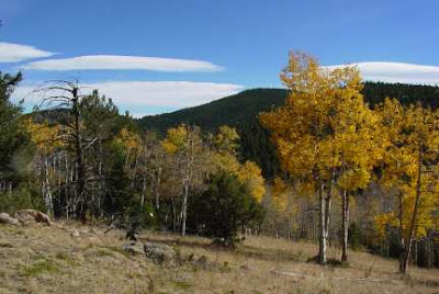 Somewhere in the Wet Mountains. Photo by Chas S. Clifton 10 Oct. 2007